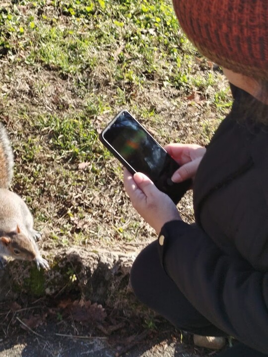 Não me canso disto esquilo_3.jpg