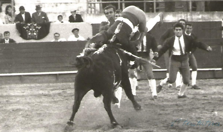 Põvoa de Varzim-1964.png