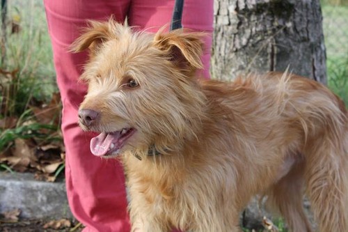 15400379_10154962264056844_6255076700710443586_n.j