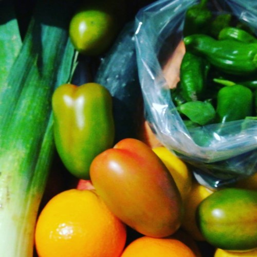 32191913_1094373570702403_9052766809052151808_n.jp 32191913_1094373570702403_9052766809052151808_n.jp