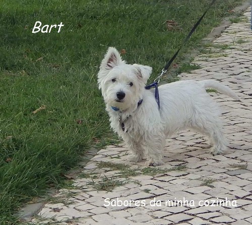 IMGP3855-Bart-Blog 2.JPG IMGP3855-Bart-Blog 2.JPG