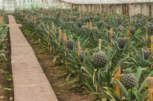 DSC09632.jpg DSC09632.jpg