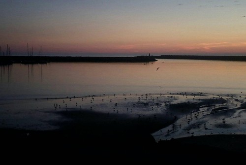 21753161_1453796054706041_4455376271693404697_o.jp