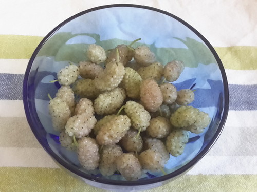 20150527_201846.jpg 20150527_201846.jpg