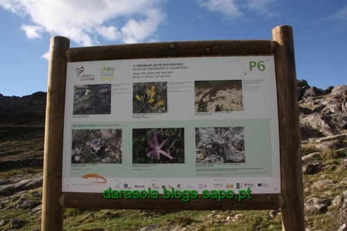 Biodiversidade_Freita_19.JPG Biodiversidade_Freita_19.JPG