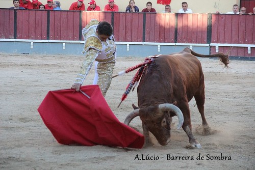 ant joao ferreira.JPG