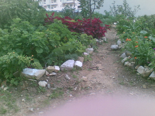 Jardim de Dona Vanda 2. Foto de F.M.CL. Jardim de Dona Vanda 2. Foto de F.M.CL.