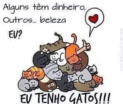 11217527_1150431331668912_2001177356494504674_n.jp