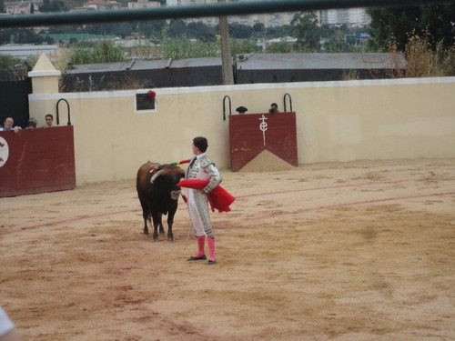 066 (1).JPG 066 (1).JPG