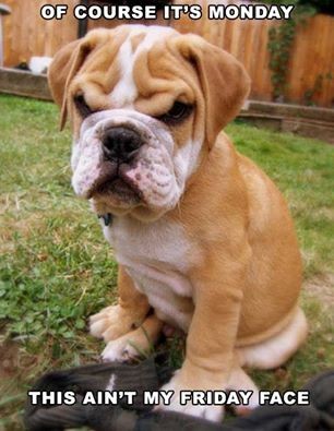 11749295_10206925759723917_856504081_n.jpg 11749295_10206925759723917_856504081_n.jpg