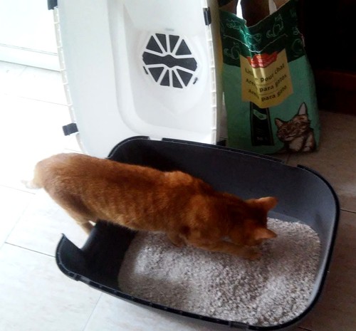 pressa-usar-wc.jpg pressa-usar-wc.jpg