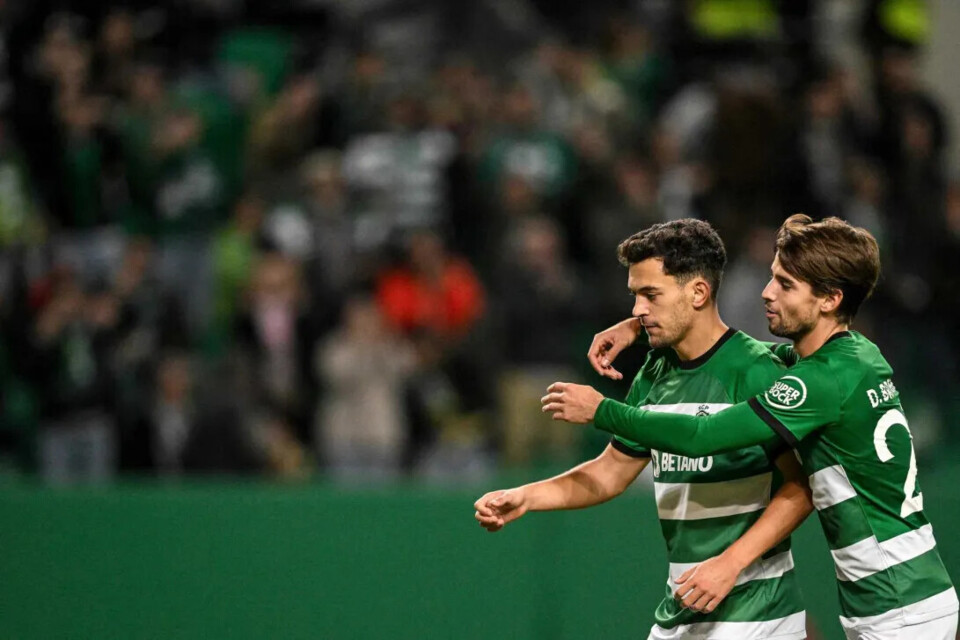 bragança e pote.webp