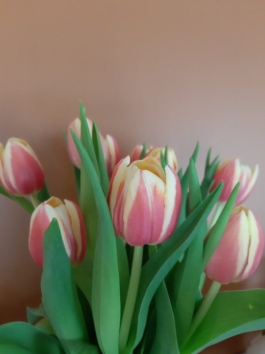 20190506_123456.jpg 20190506_123456.jpg