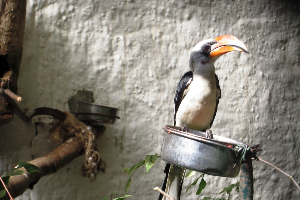 IMG_4444.JPG IMG_4444.JPG