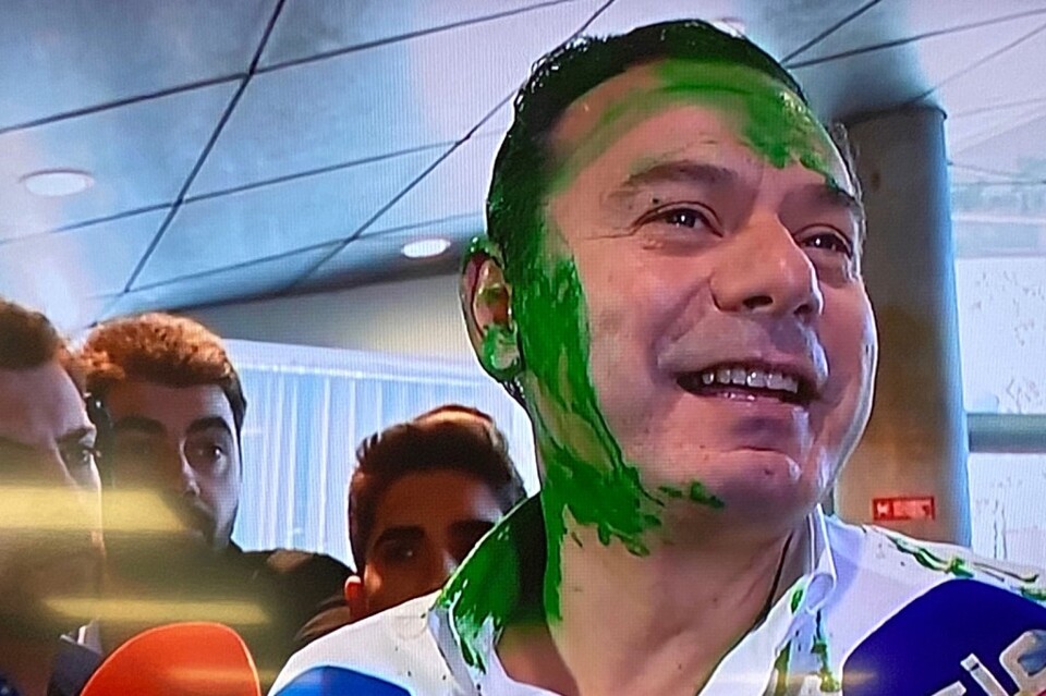 montenegro verde.jpg