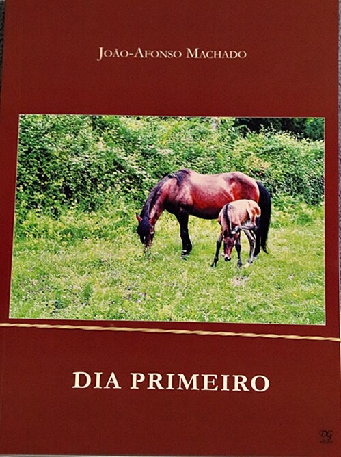 PROVAS DIA PRIMEIRO.JPG