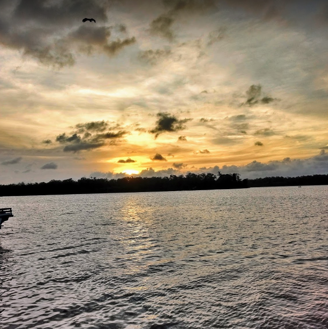 Captura de Tela 2020-09-01 às 11.31.21.png