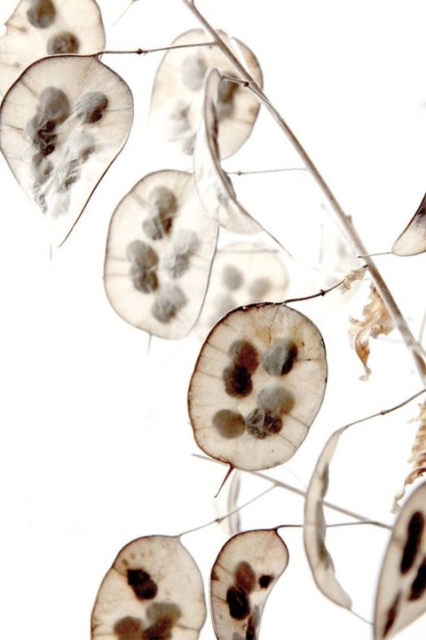 10636459_10201710619566837_4063513617225045325_o.j