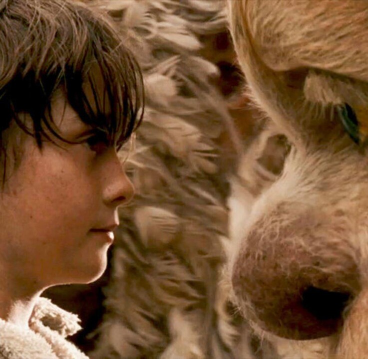 maurice-sendak-film-2010-wildekerle-augen-DW-Vermi