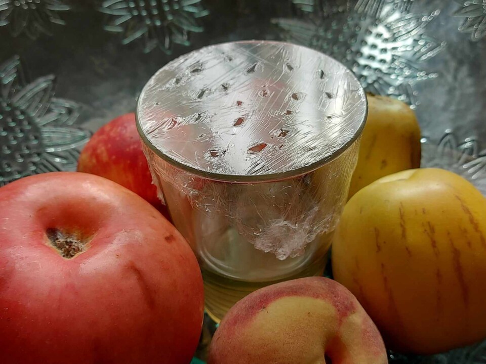 373459188_626945659302652_6800355341781729475_n.jp