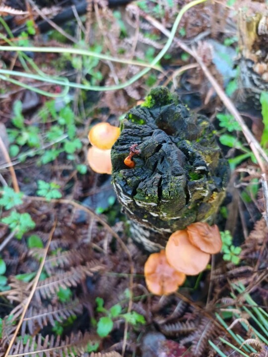 Não me canso disto inverno 1.jpg