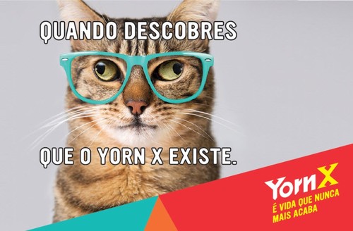 yorn-x.jpg yorn-x.jpg