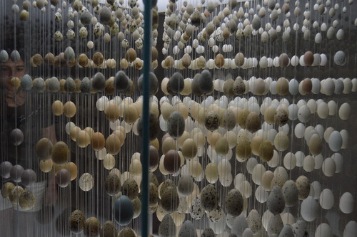 JardimBotanico_julho17 (6).JPG