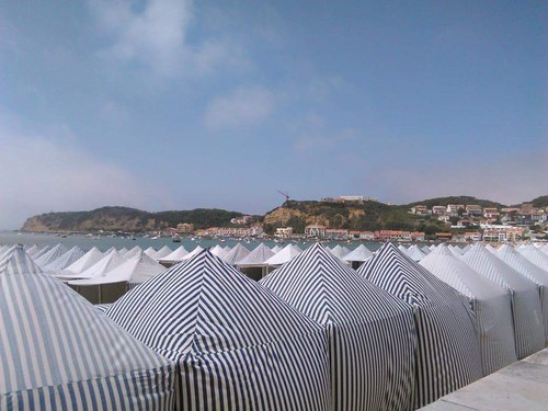 11951196_1142461029115142_3406843045463654560_n.jp