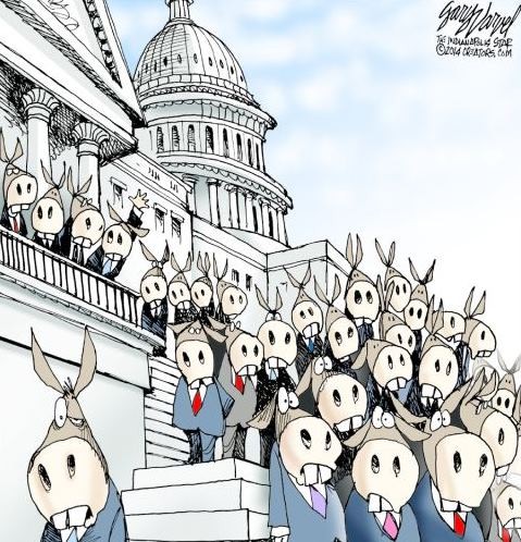 12299130_1013516298698469_6853367179271138547_n.jp