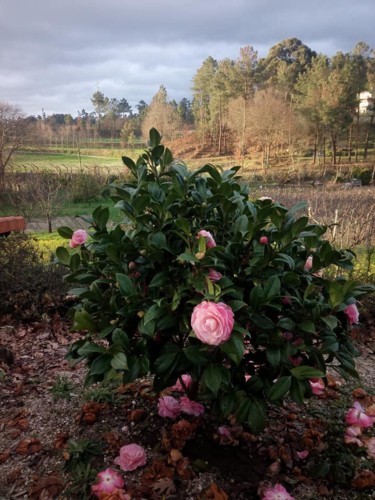 29104244_1615254175226894_3400525178193575936_n.jp