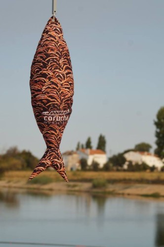 22228570_10156721564443696_2592233894182318003_n.j