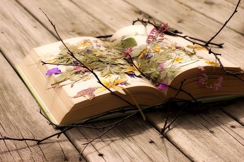 482091_511827468856648_1669719636_n.jpg 482091_511827468856648_1669719636_n.jpg