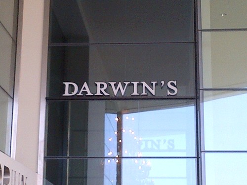 darwin