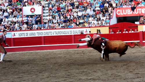 5Toiro Joao Pedro Avila.jpg