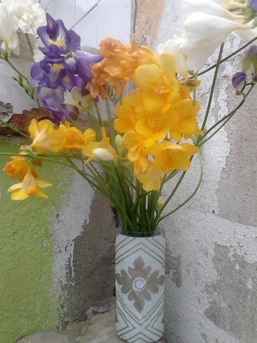 Flores do meu jardim.jpg