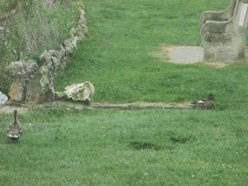 33038903_1652203958228236_4970508494236024832_n.jp 33038903_1652203958228236_4970508494236024832_n.jp