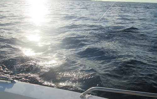 Fotos Graciosa (25).JPG Fotos Graciosa (25).JPG