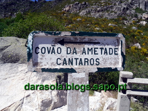 covao_daametade_02.JPG
