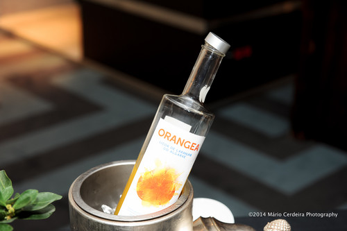 1025-205_TivoliChefNoélia.jpg 1025-205_TivoliChefNoélia.jpg