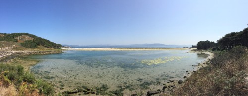 IMG_7145.JPG IMG_7145.JPG