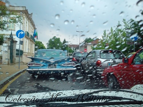 DSC_8556.jpg