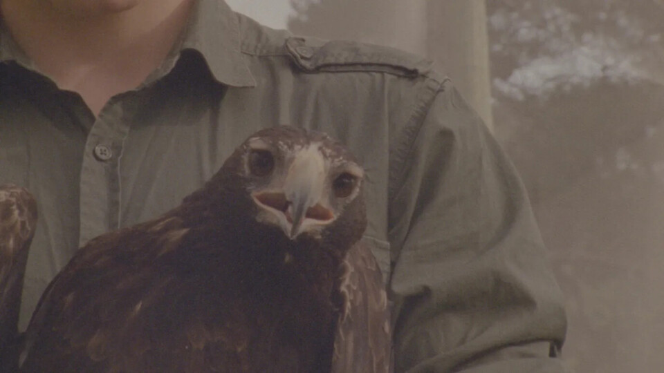 UzMBFQBpZmZyLmZpb25hLW9ubGluZS5uZXQ0AGF0dGFjaG1lbn