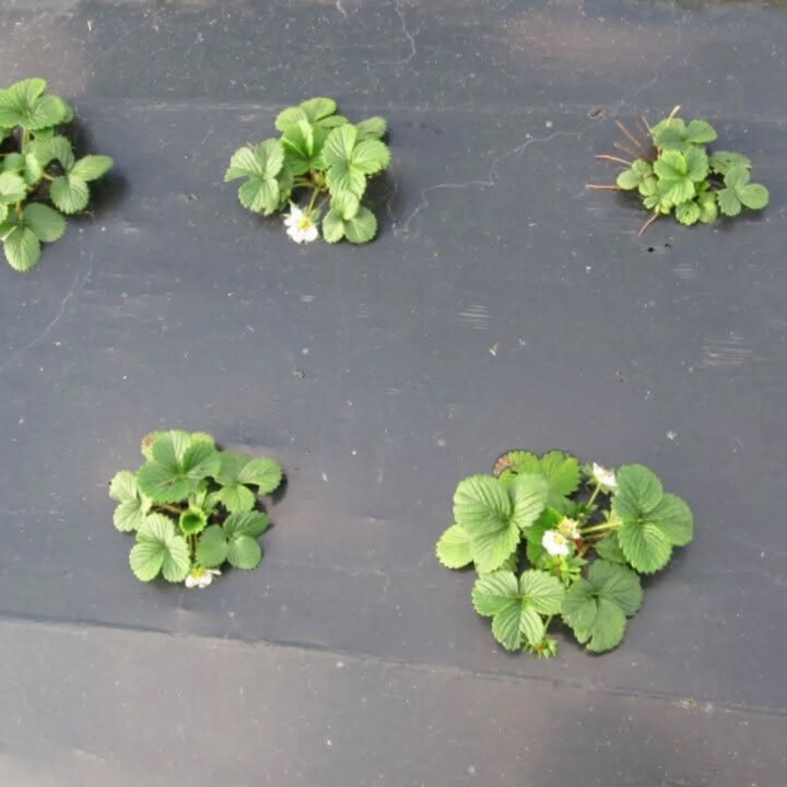 474819695_18457945660066958_3078637916176245376_n.