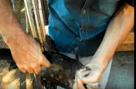 Captura de ecrã de 2019-06-23 15-46-58.jpg