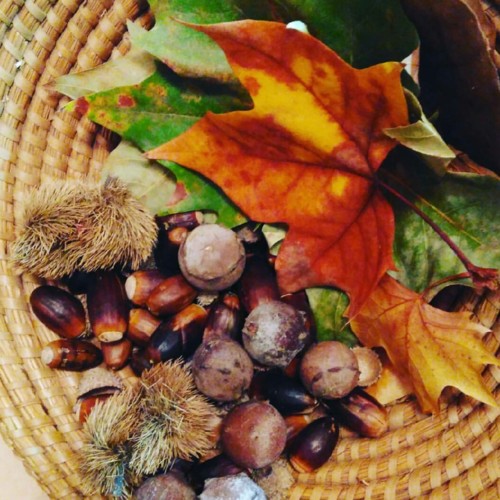 Na fogueira de são martinho.jpg