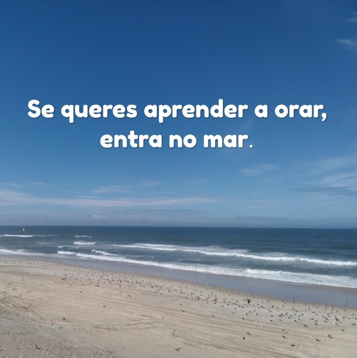 IMG_20190805_120135.jpg IMG_20190805_120135.jpg