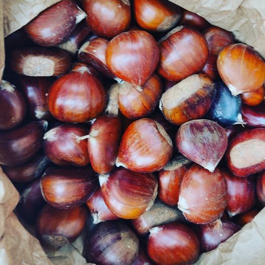 245539088_2143578425781907_7211644545681377301_n.j