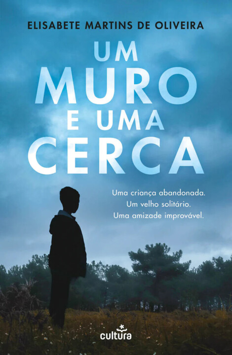 um muro e uma cerca.webp