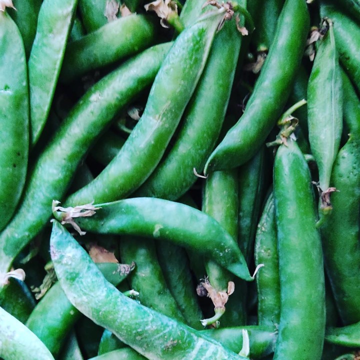 191124871_2032413180231766_7655526484126516501_n.j