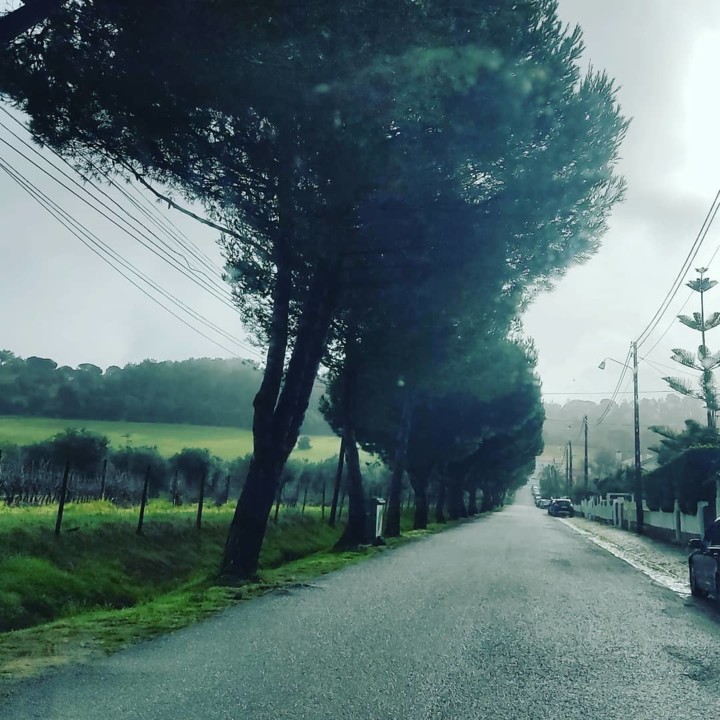 140635206_1934230553383363_1671940055907569342_o.j